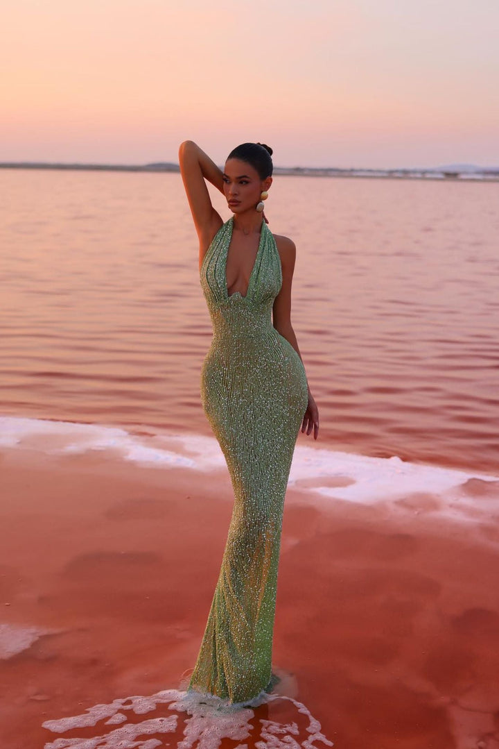 Glitter Dress