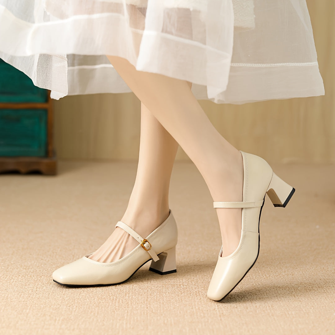 French Vintage Chunky Heel Mary Jane Shoes