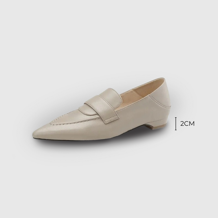 Pointed Toe Low heel Shoes