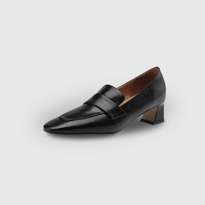 Pointed Toe Chunky Heel Loafers