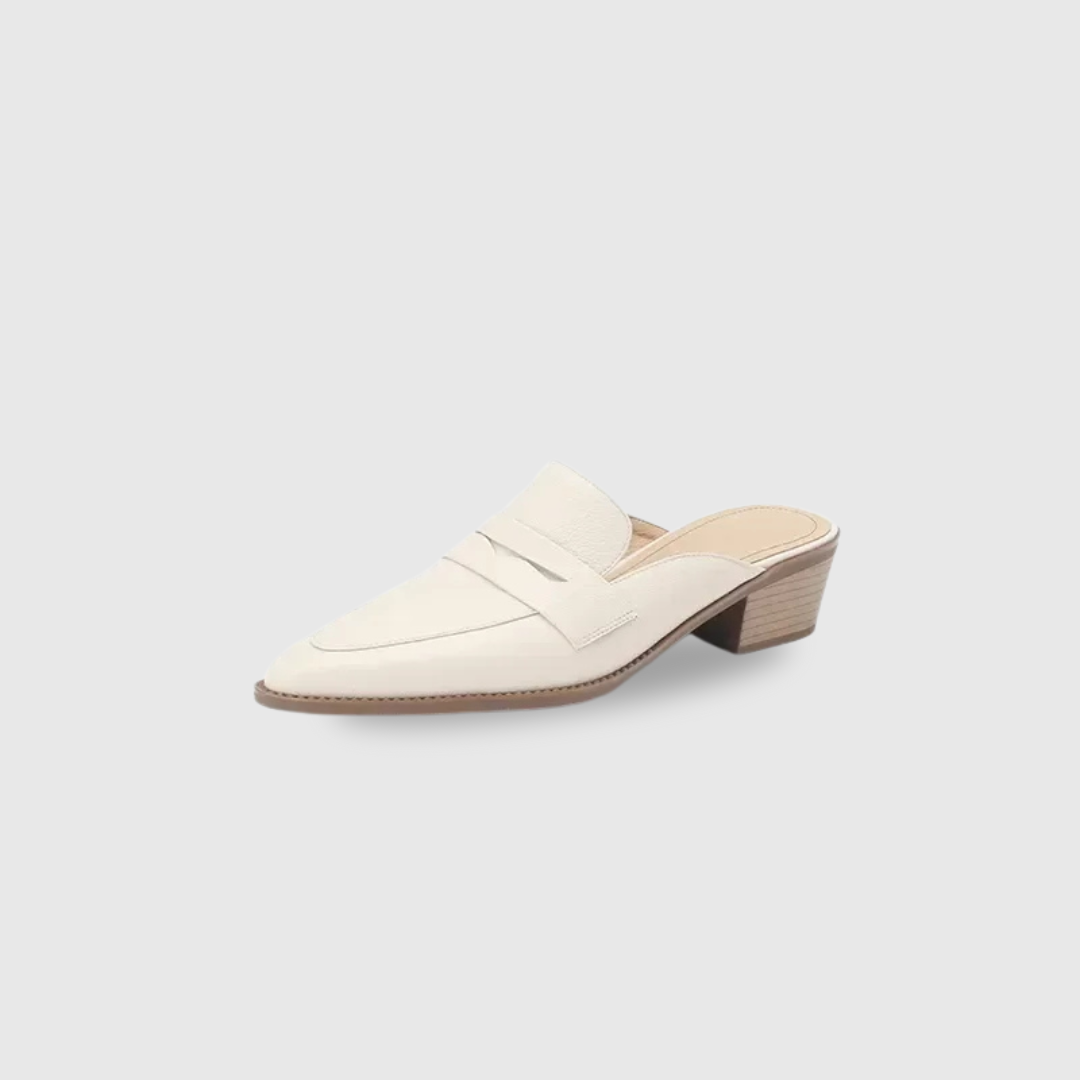 Pointed Toe Shoes