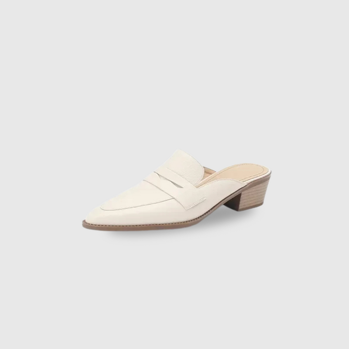 Pointed Toe Shoes