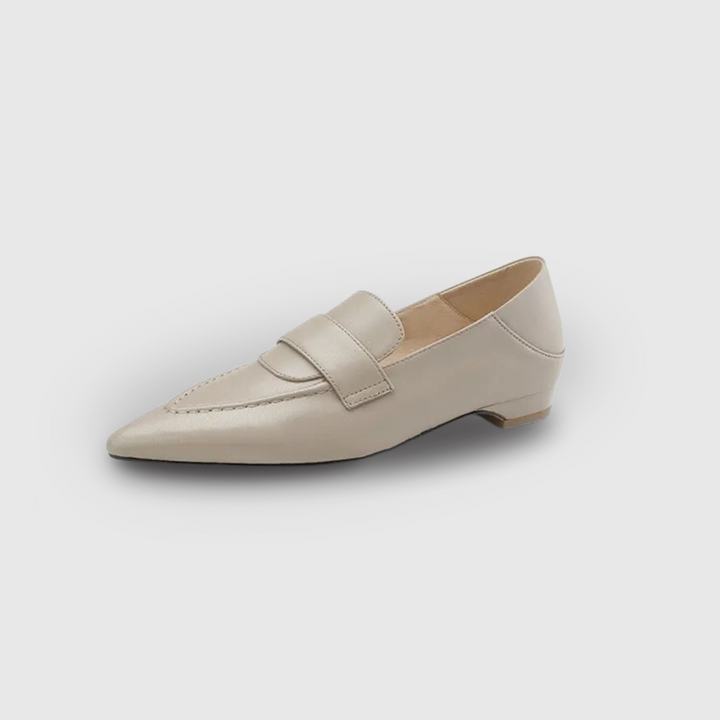 Pointed Toe Low heel Shoes