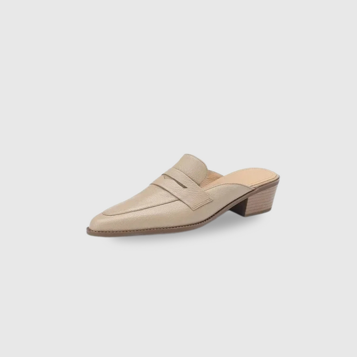 Pointed Toe Shoes