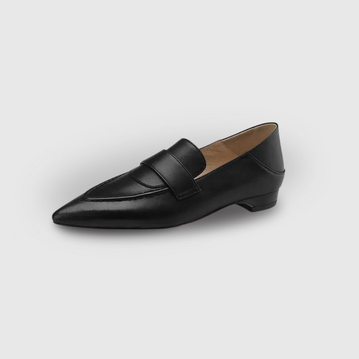 Pointed Toe Low heel Shoes