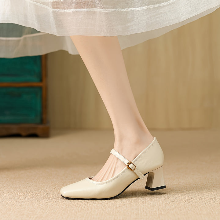 French Vintage Chunky Heel Mary Jane Shoes