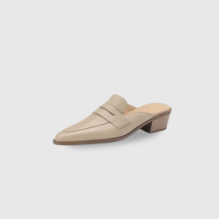 Pointed Toe Shoes