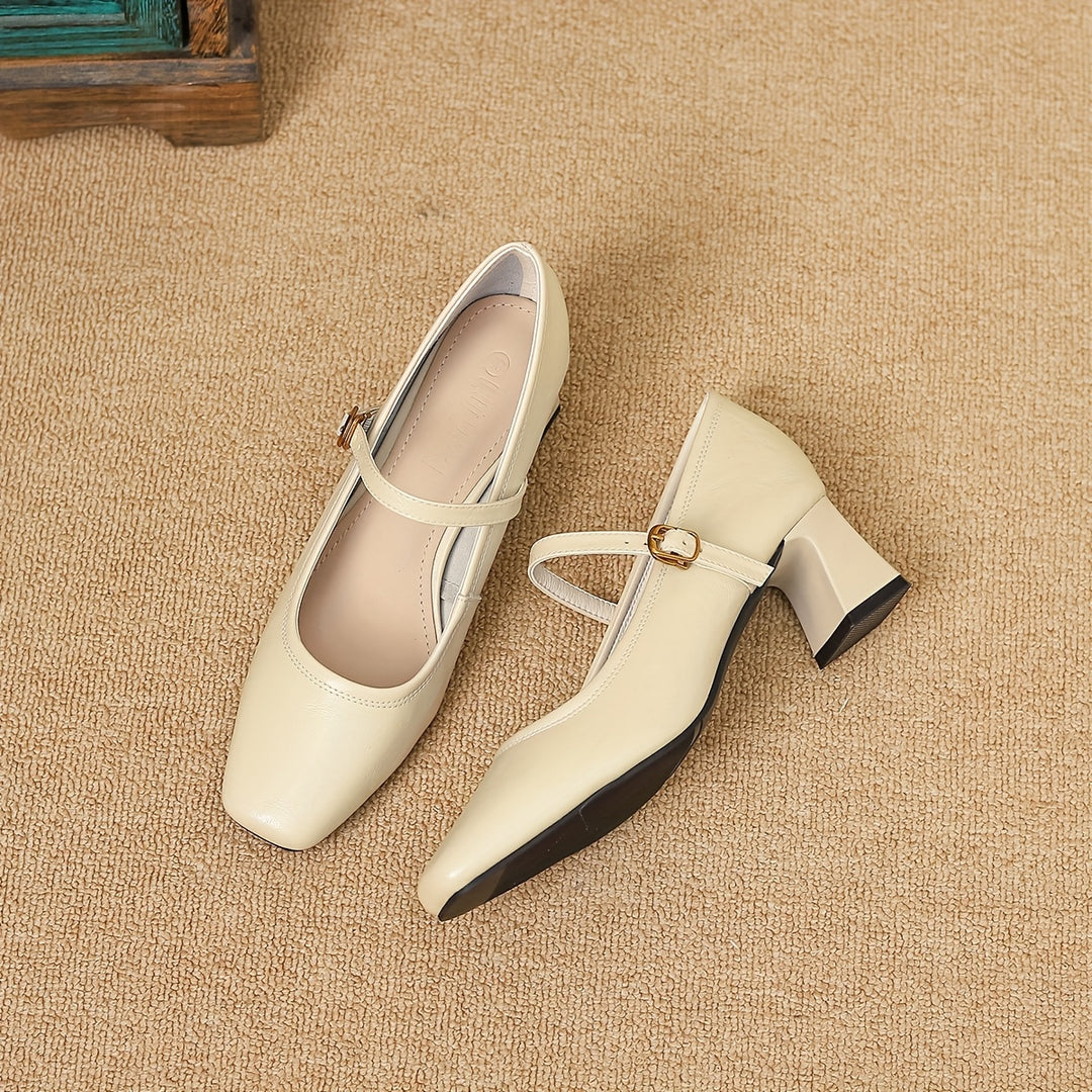 French Vintage Chunky Heel Mary Jane Shoes
