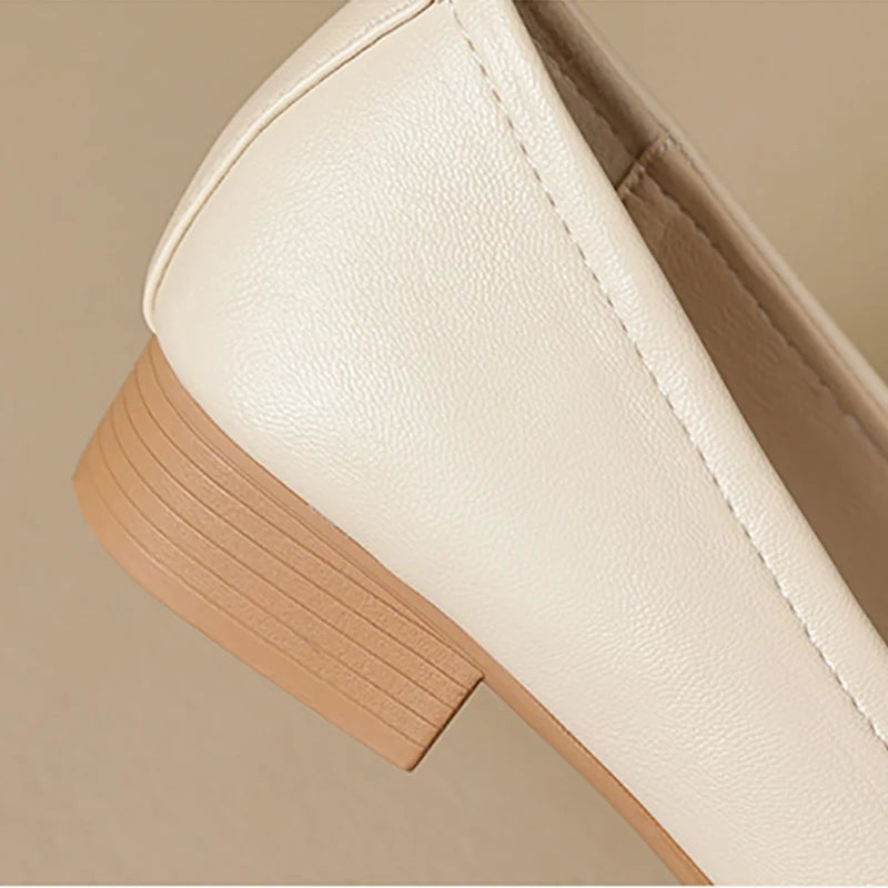 Low Heel Mary Jane Shoes