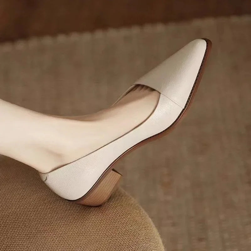 Women's Coarse Heel Shoes