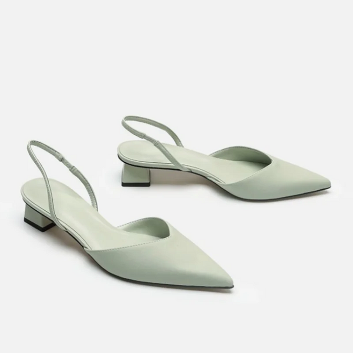 Pointed Toe Slingbacks