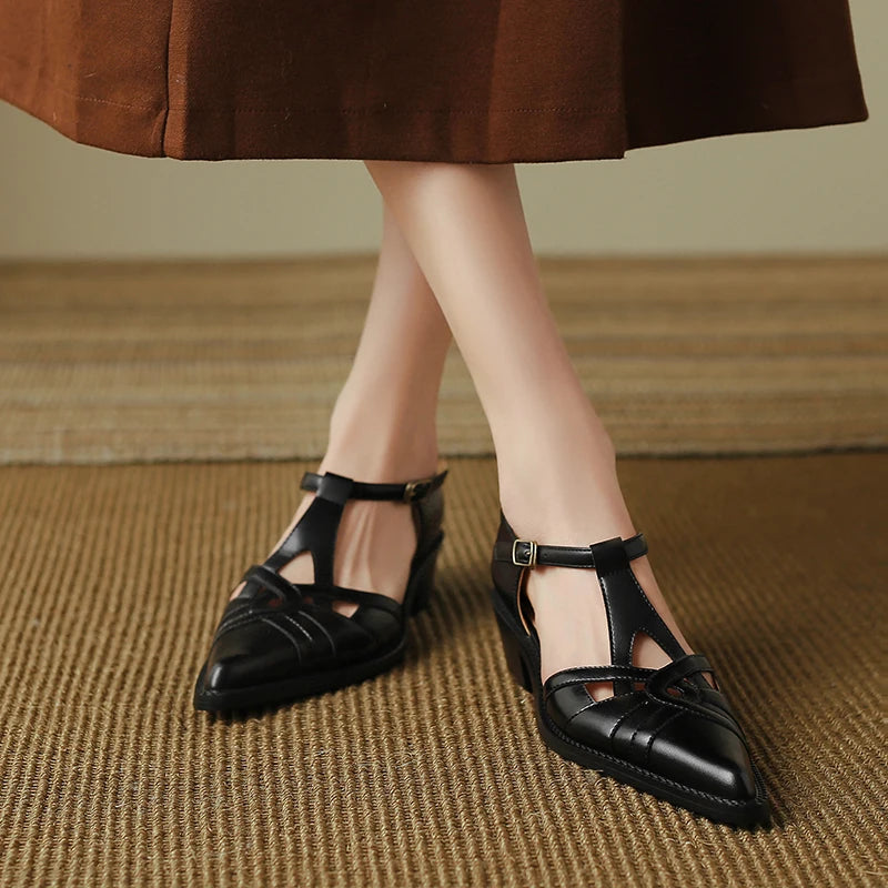 Pointed Toe Low Heel Shoes