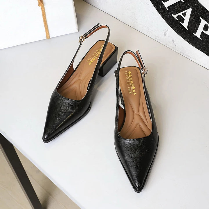 Thick Heels Shallow Mouth Pointed Toe Shoes