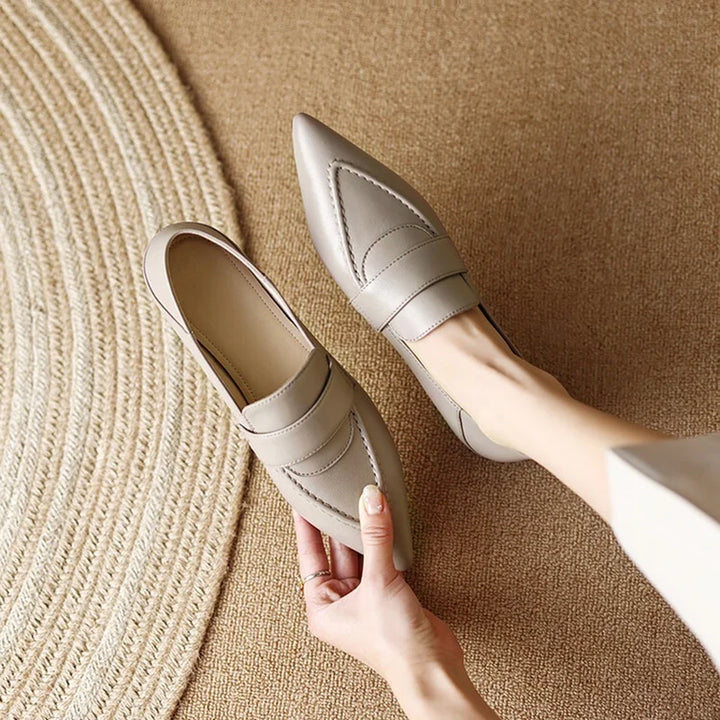Pointed Toe Low heel Shoes