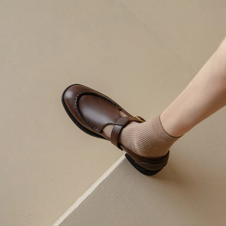 Low Heel Retro Brown Shoes
