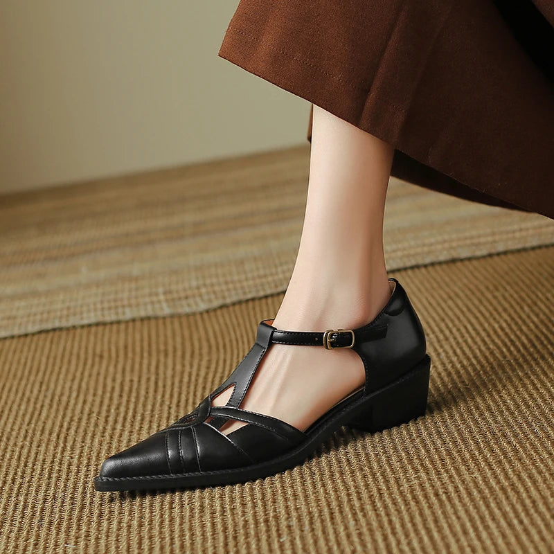 Pointed Toe Low Heel Shoes