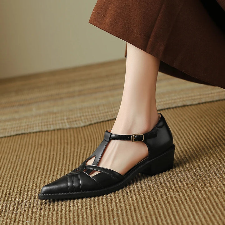 Pointed Toe Low Heel Shoes