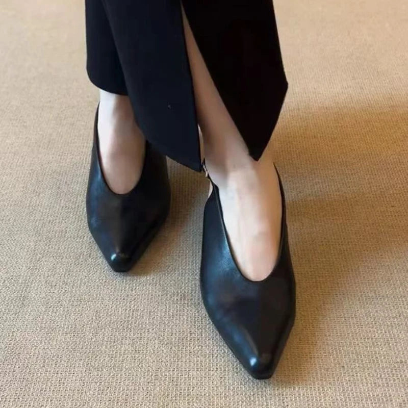 Pointed Toe Dress Shoes