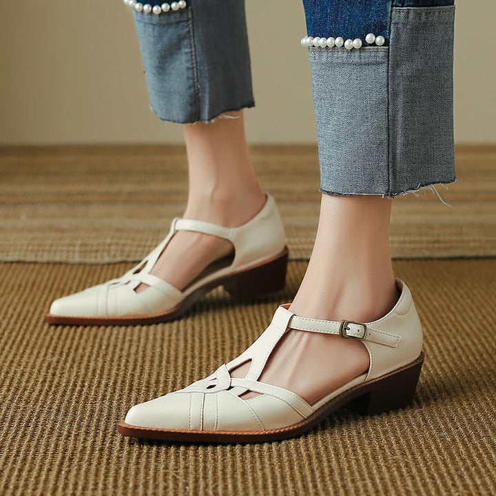 Pointed Toe Low Heel Shoes