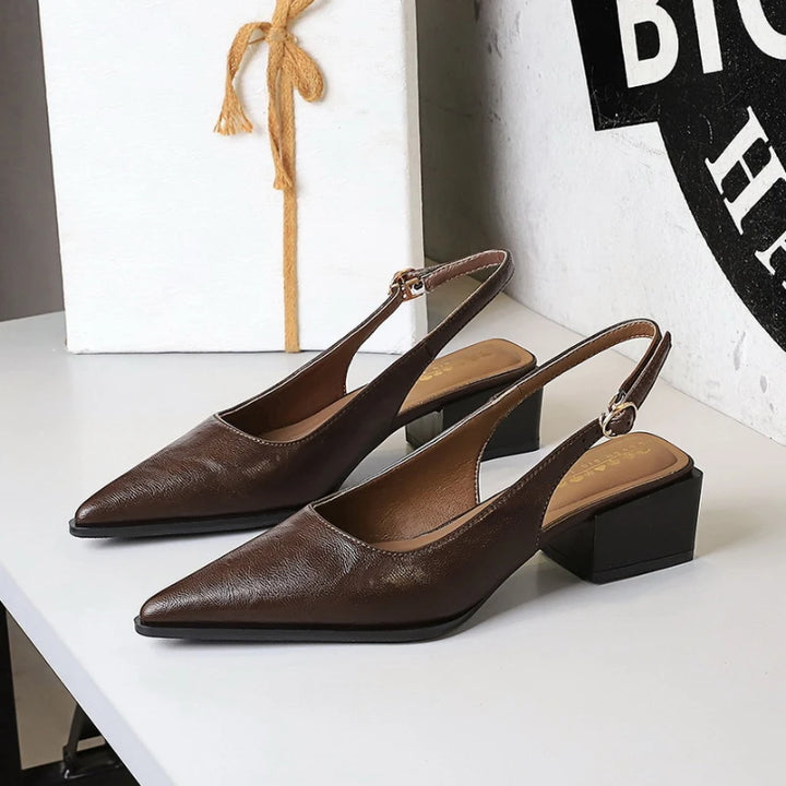 Thick Heels Shallow Mouth Pointed Toe Shoes