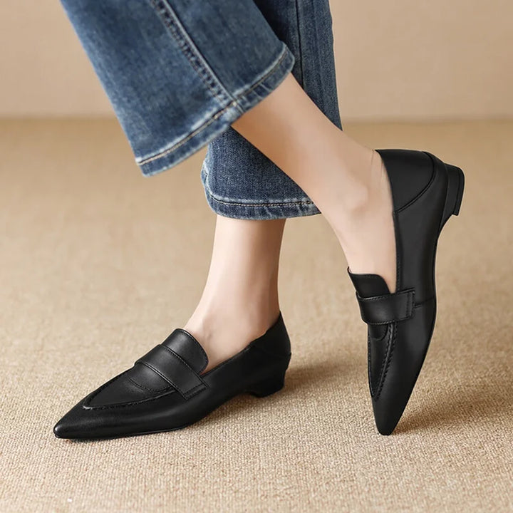 Pointed Toe Low heel Shoes