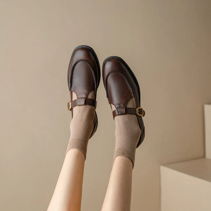 Low Heel Retro Brown Shoes