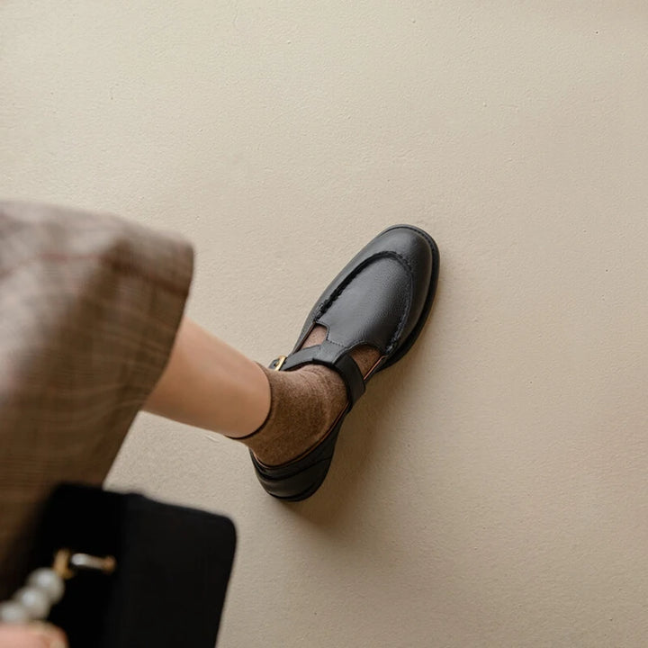 Low Heel Retro Brown Shoes