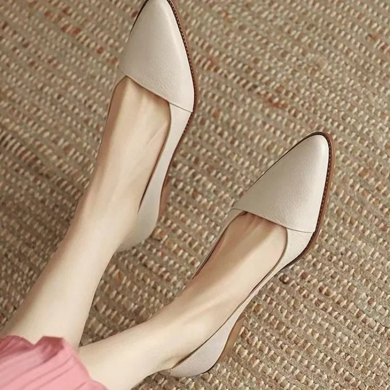 Women's Coarse Heel Shoes