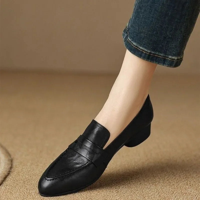Pointed Toe Flats