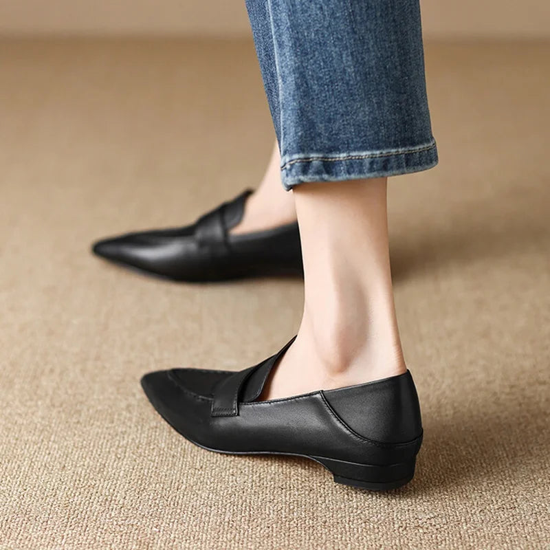 Pointed Toe Low heel Shoes
