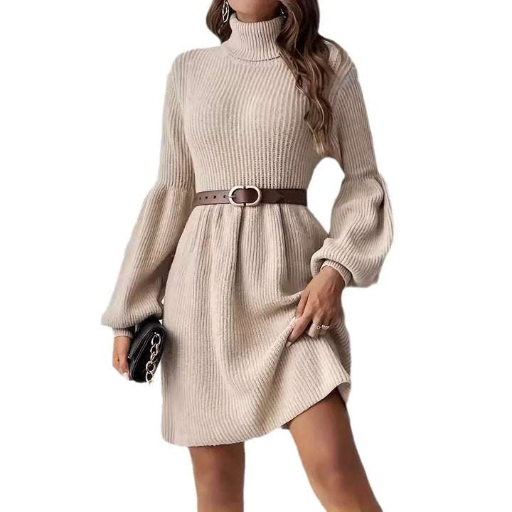 Turtleneck Dress
