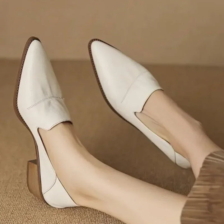 Pointed Toe Retro Shoes