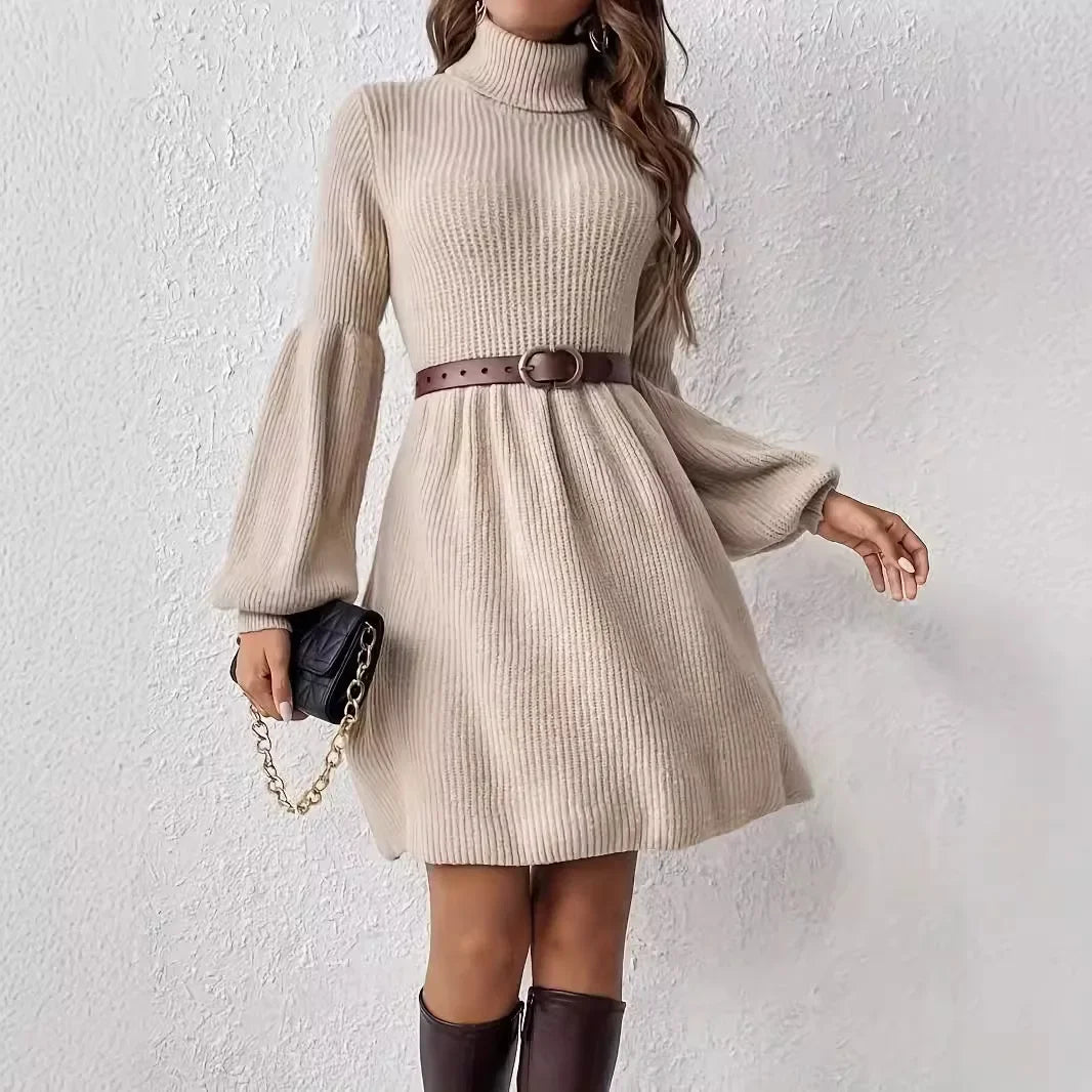 Turtleneck Dress