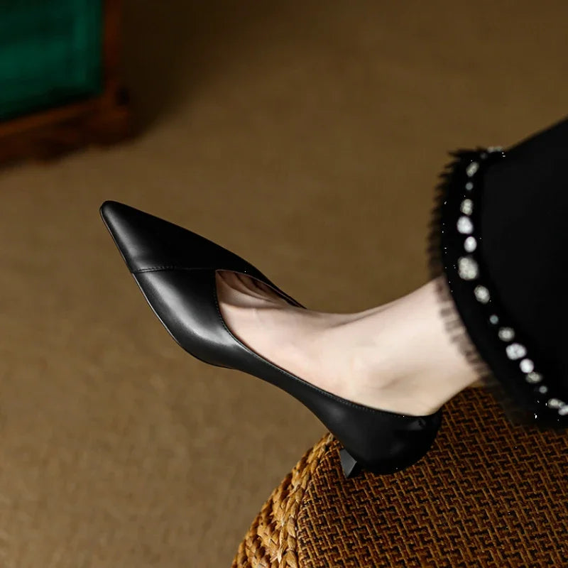 Pointed Toe Pumps