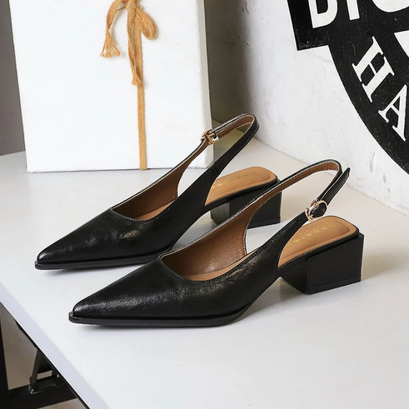 Thick Heels Shallow Mouth Pointed Toe Shoes
