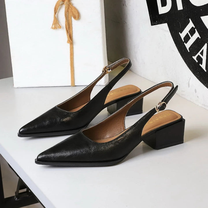 Thick Heels Shallow Mouth Pointed Toe Shoes