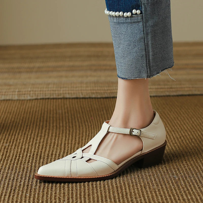 Pointed Toe Low Heel Shoes