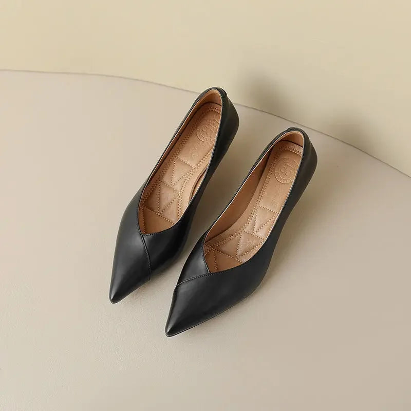 Pointed Toe Pumps
