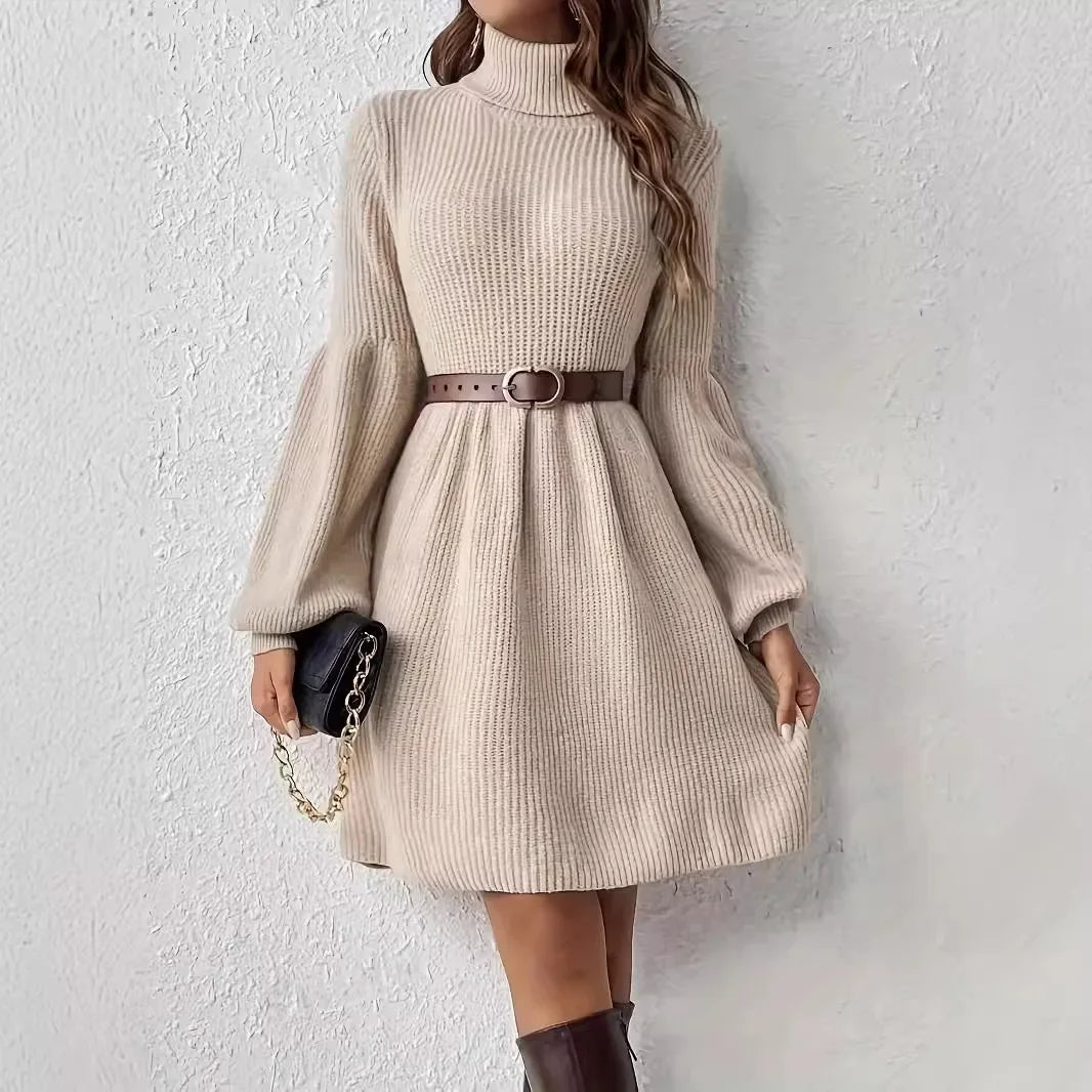 Turtleneck Dress