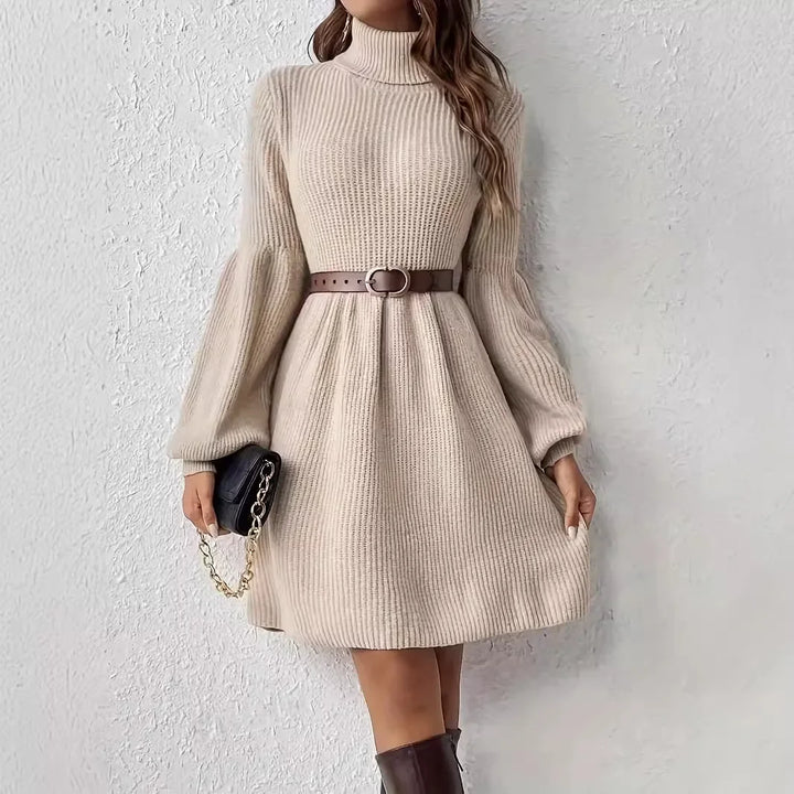 Turtleneck Dress