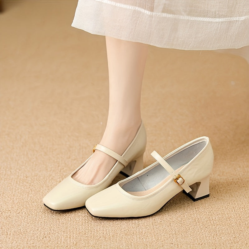 French Vintage Chunky Heel Mary Jane Shoes